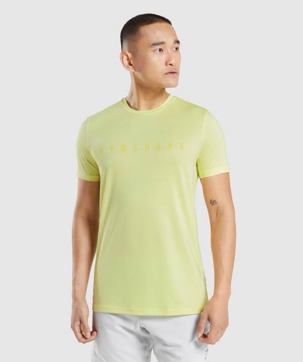 Panske Tricka Gymshark Sport Stripe Zelene | IW2574096